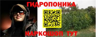 прущие грибы Старая Купавна